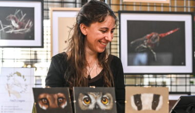 Photos. Femmes, quels talents ! Des créatrices à la mairie de Nancy ce week-end