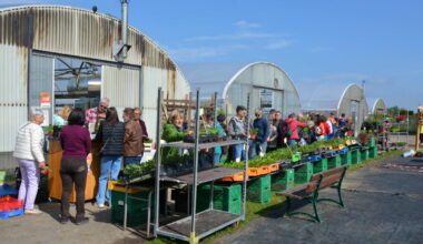 Bischheim. Fleurs, légumes… la ferme solidaire a ouvert ses portes