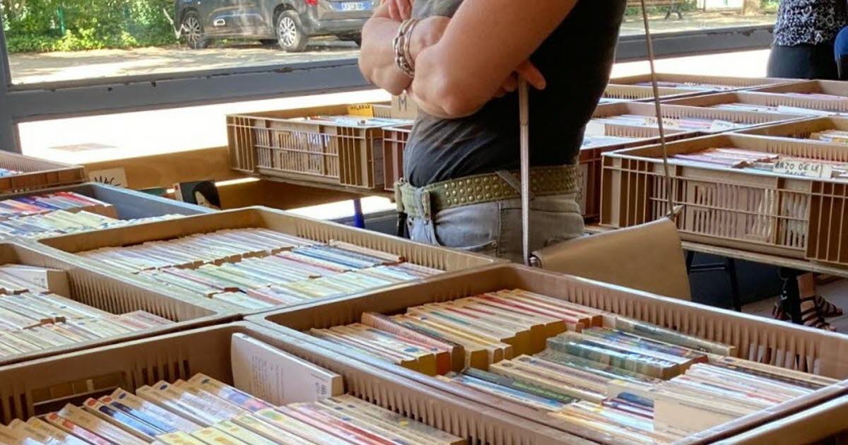 Sainte-Foy-lès-Lyon. Incontournable, la foire du livre du quartier Provinces Chavril