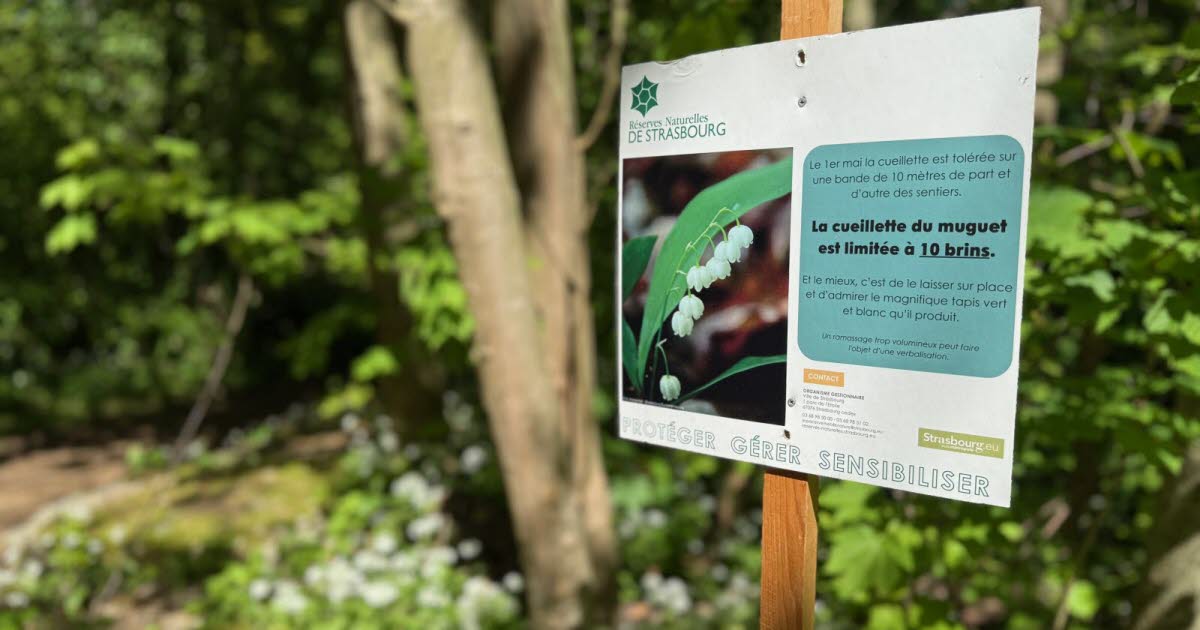 dans les réserves naturelles, la Ville verbalise