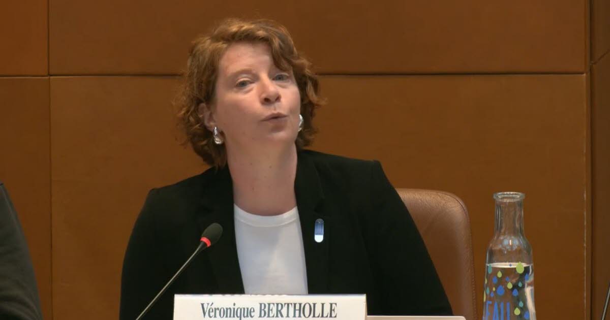 Coopération internationale. Israël refuse un visa à une adjointe au maire de Strasbourg