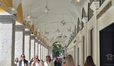 Nice. C'est quoi tous ces poissons lumineux suspendus en plein centre-ville ?