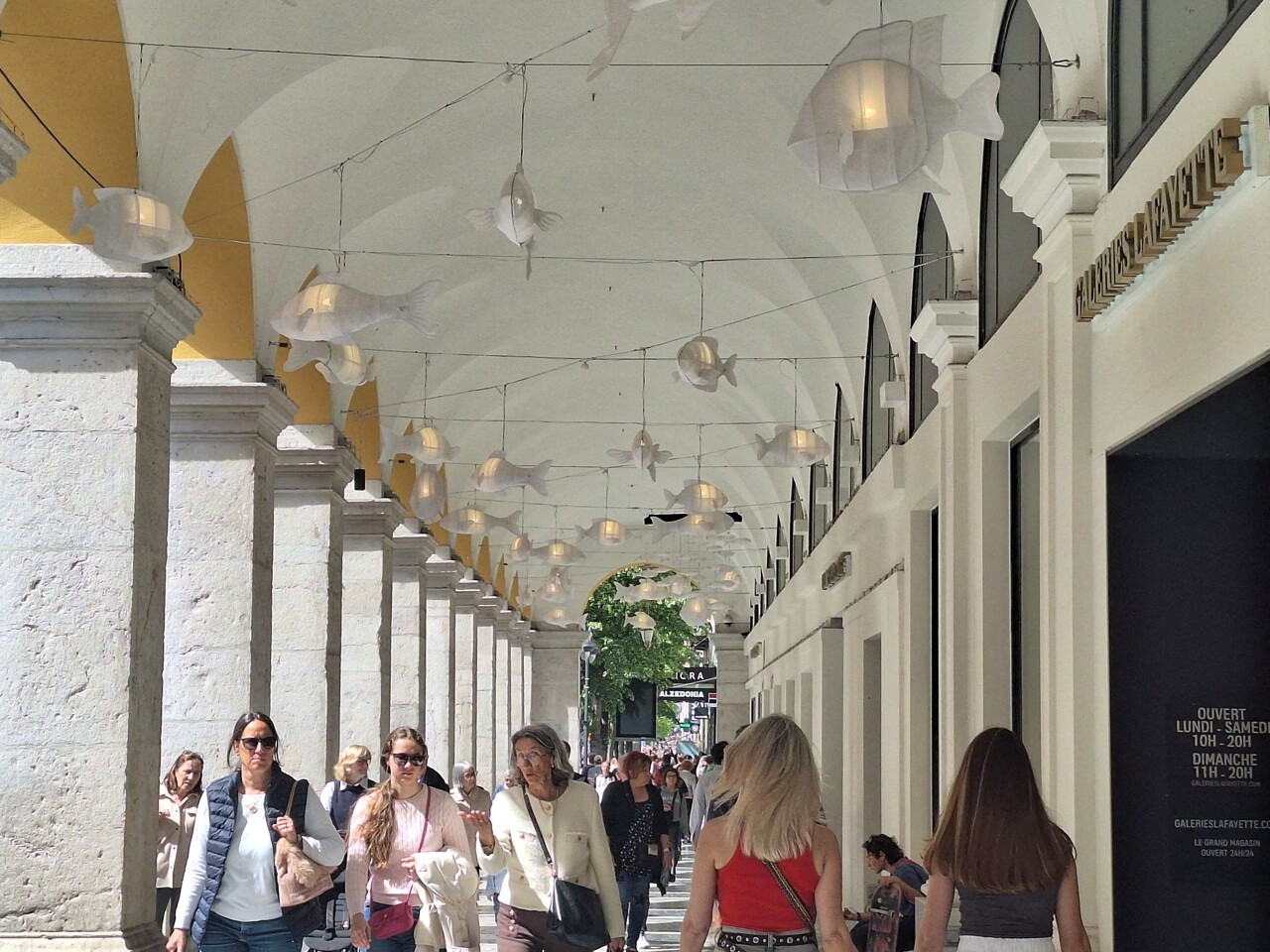 Nice. C'est quoi tous ces poissons lumineux suspendus en plein centre-ville ?
