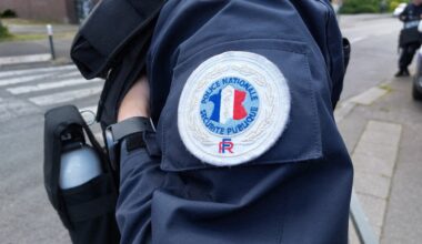 ce que l'on sait de l'agresseur présumé condamné 24 fois
