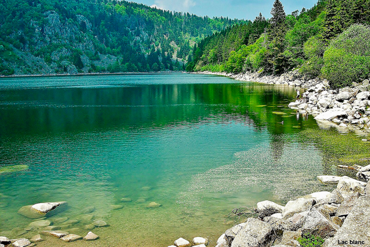Rive Est Lac Blanc
