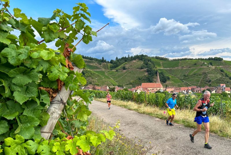 Run’in FAV dans les vignes