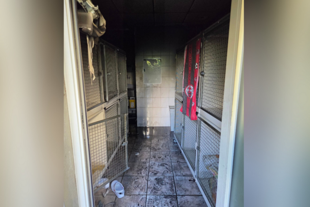 Un incendie a ravagé les locaux d’une chatterie appartenant à la SPA à Grenoble mardi soir. (© SPA du Dauphiné)