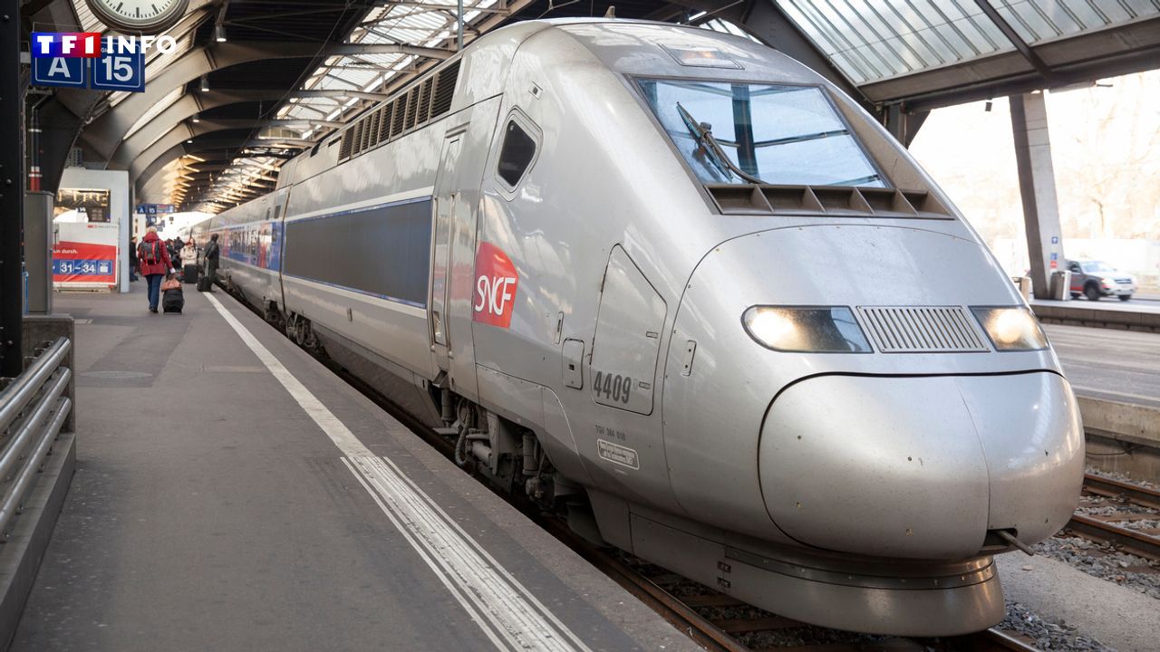 "Le plus gros chantier de l'année" : début de gros travaux SNCF et perturbations entre Paris et Orléans jusqu'en 2026