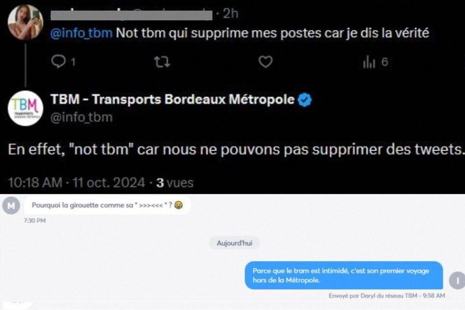 Les CM doivent répondre aux fausses idées, et aux questions insolites.