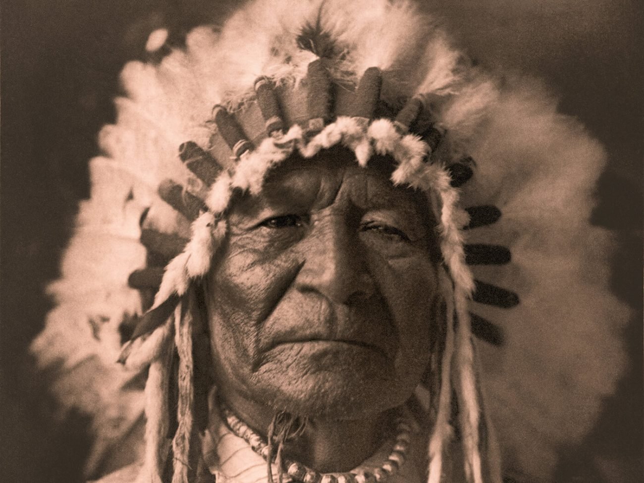Edward S. Curtis, Sitting Bear – Arikara (détail)