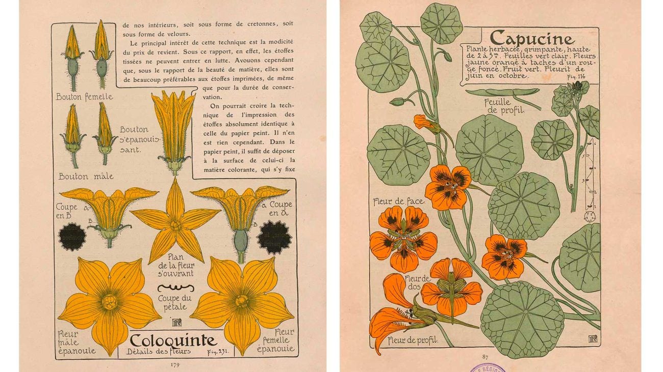 Maurice PILLARD-VERNEUIL, Étude de la plante : son application aux industries d’art, Librairie Centrale des beaux-arts