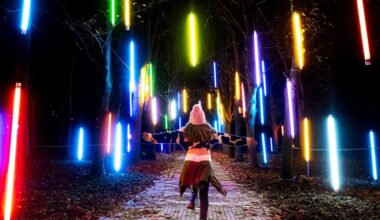 les plus beaux parcours lumineux pour les fêtes
