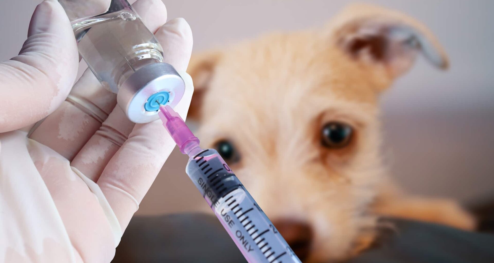 Vaccine