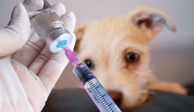 Vaccine