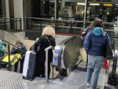 Vous reconnaissez sûrement l'escalator qui permet d'accéder au métro A depuis le niveau 1 du centre Perrache. Photo Rémi Liogier