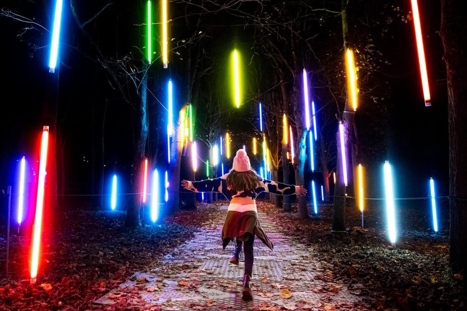 « Lumières en Seine » au Domaine de Saint-Cloud