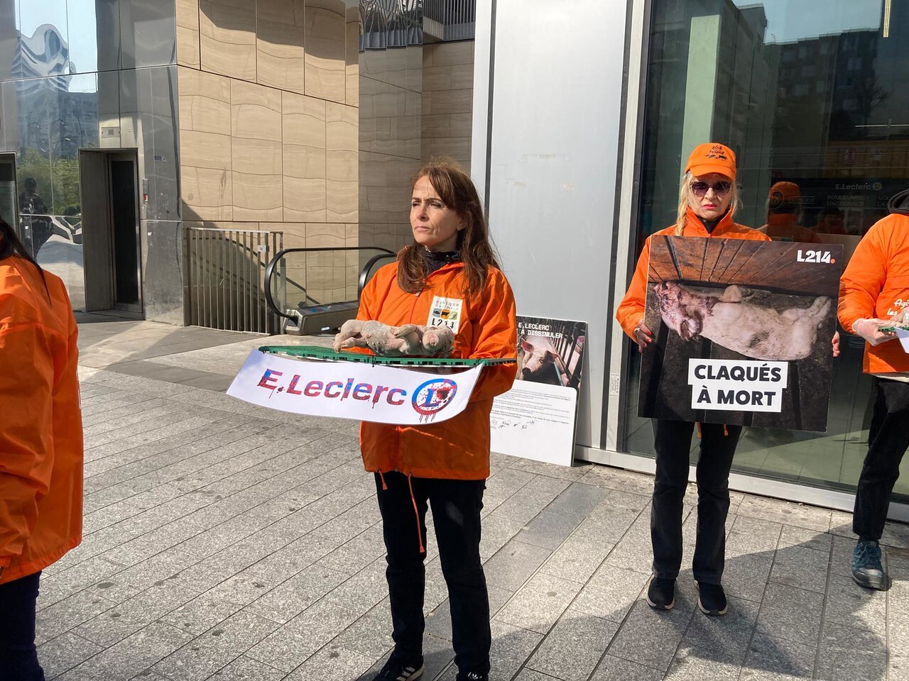 des cadavres de porcelets déposés devant un Leclerc à Paris