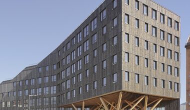 Grenoble. C'est quoi cet immeuble entièrement construit en bois au cœur de la Presqu'île