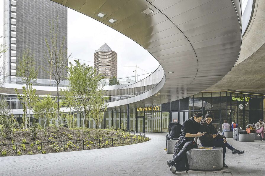 la place basse se dévoile