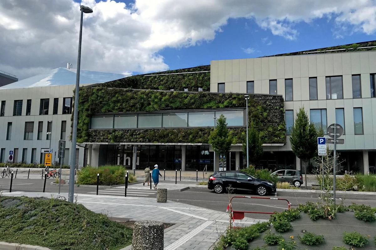 Nouvelles révélations sur l’affaire des cochons de l'IHU de Strasbourg