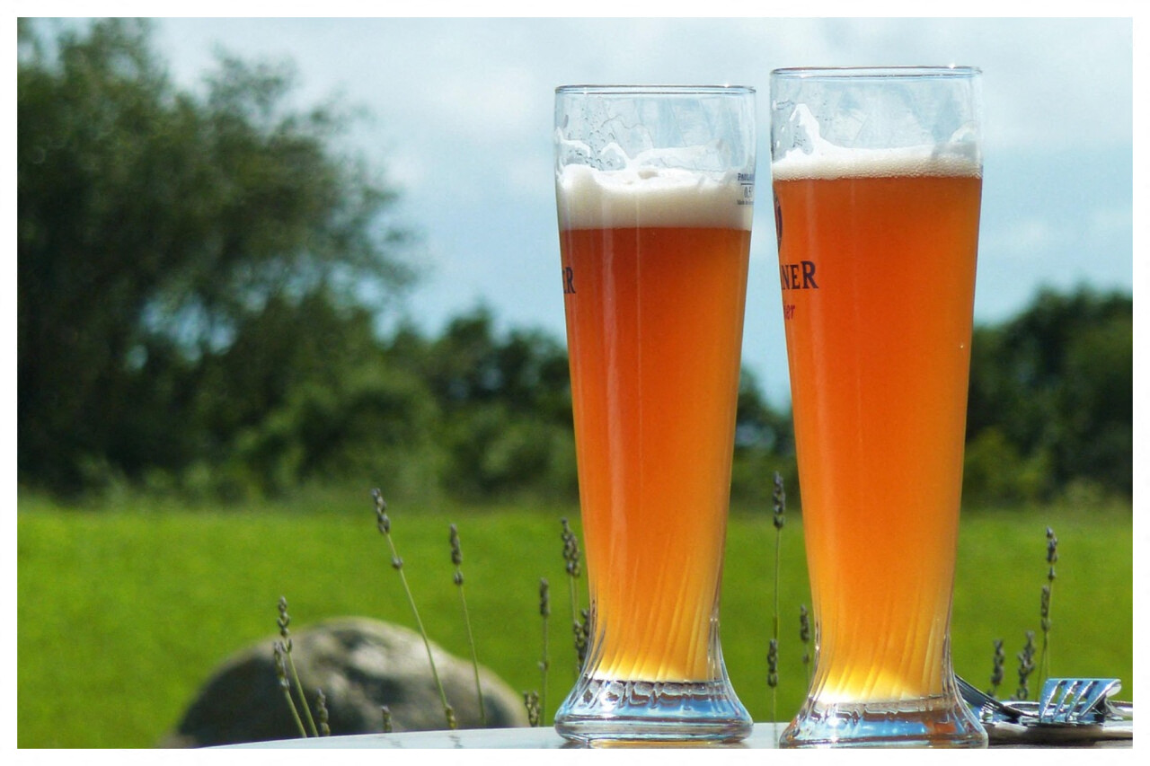 Près de Lille. Une grande fête de la bière musicale et gratuite aura lieu ce dimanche dans un magnifique parc