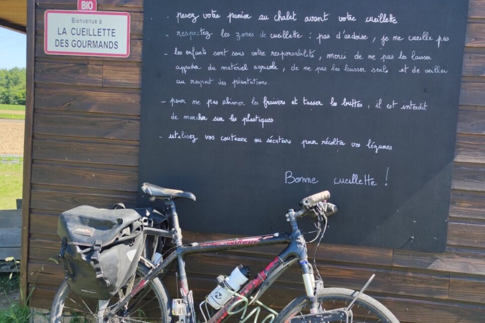 cueillettes des gorumands