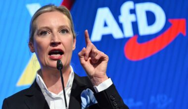 Allemagne : suspension du classement de l'AfD comme parti "extrémiste de droite"