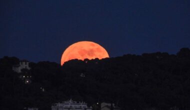 Les jolies images de la lune des fleurs ce lundi à Nice