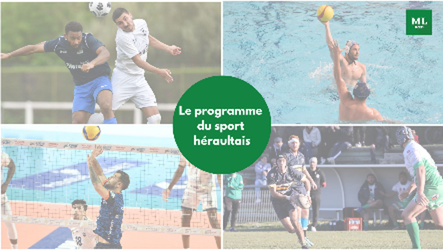 Volley, hand, foot, rugby… Demandez le programme des clubs héraultais ce week-end