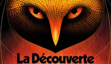 La Chouette d'Or : la solution est désormais connue
