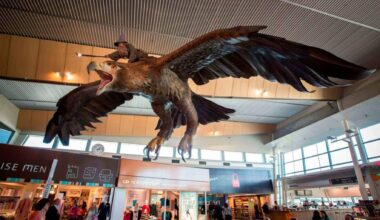 Cet aéroport néo-zélandais va perdre ses deux sculptures géantes du « Seigneur des Anneaux »