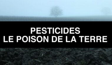 découvrez l'enquête d'Ecrans du Monde
