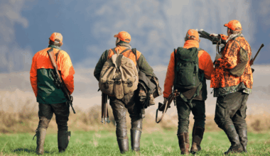 Le site de la FICIF facilite désormais la mise en relation entre chasseurs et gestionnaires de territoires en Île-de-France