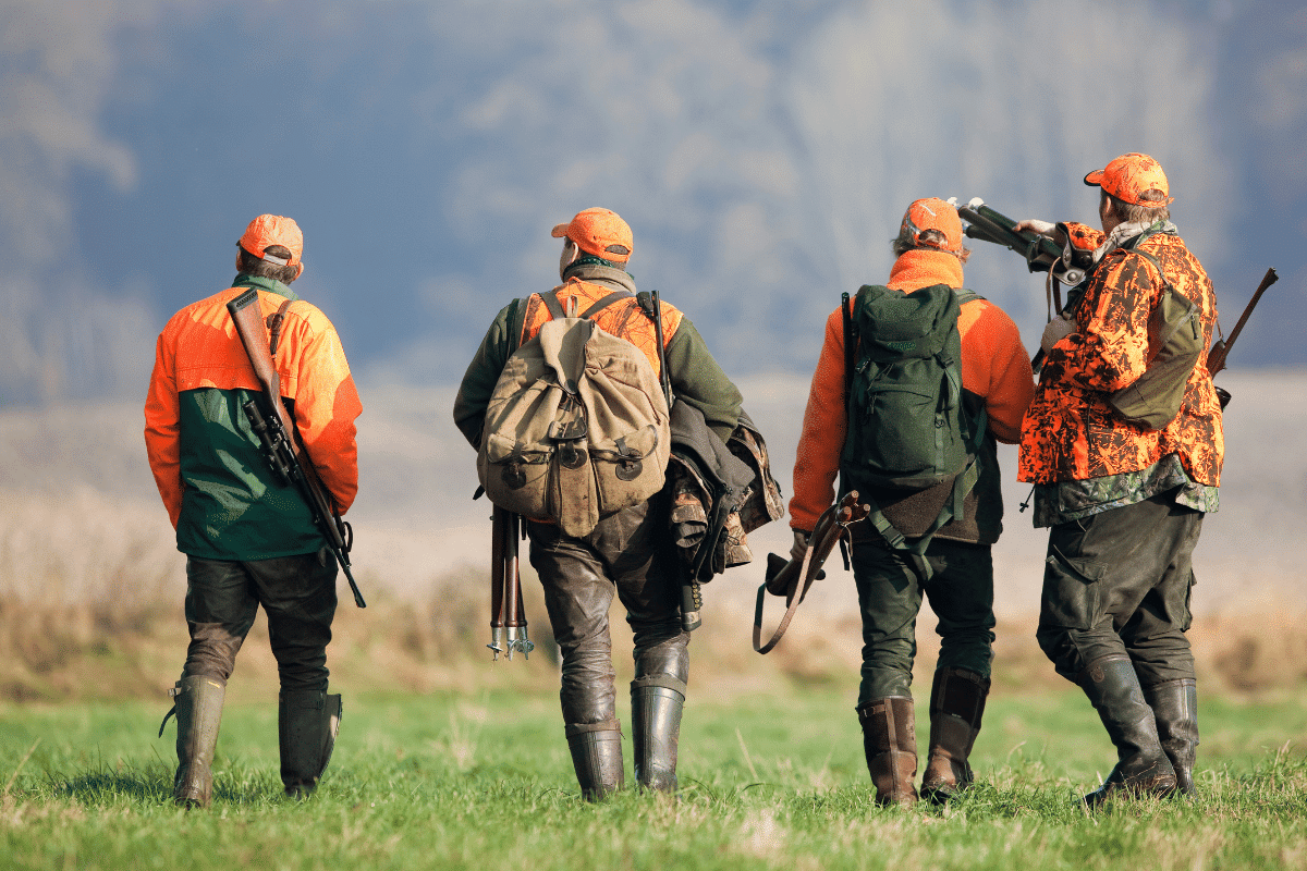 Le site de la FICIF facilite désormais la mise en relation entre chasseurs et gestionnaires de territoires en Île-de-France