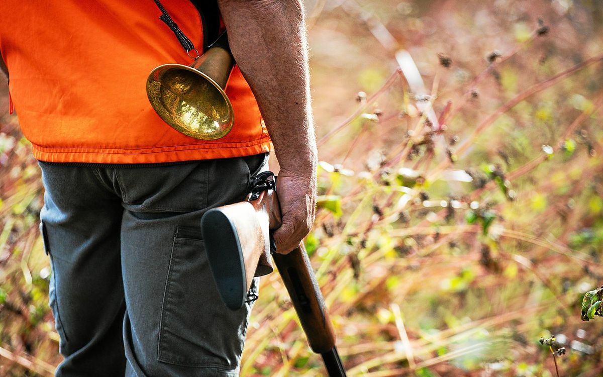 Accident de chasse près de Rennes : il « aurait pu être évité », témoigne le représentant des chasseurs de Bretagne