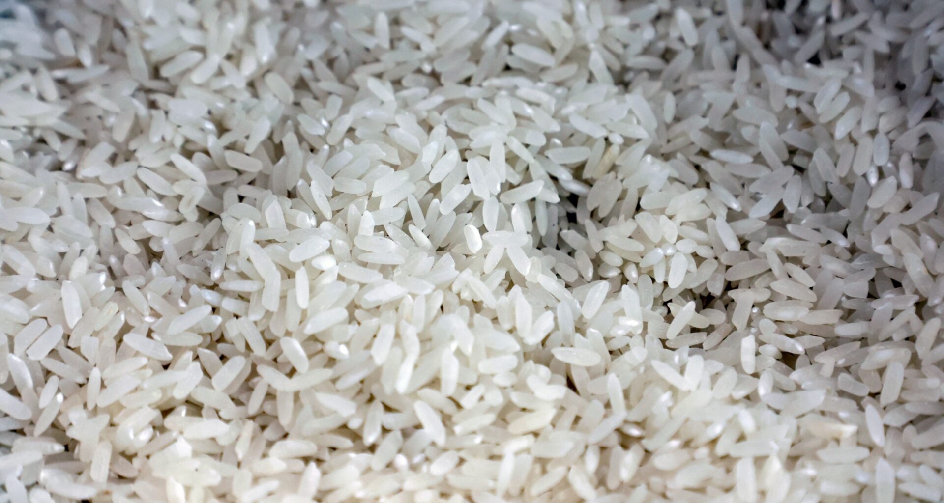 le riz pourrait devenir responsable de cancers en raison de la concentration d'arsenic