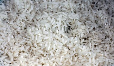 le riz pourrait devenir responsable de cancers en raison de la concentration d'arsenic