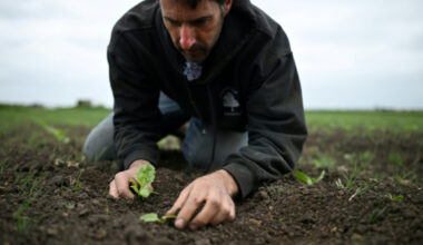 Au Royaume-Uni, un printemps exceptionnellement sec suscite les angoisses des agriculteurs - 20/05/2025 à 08:13