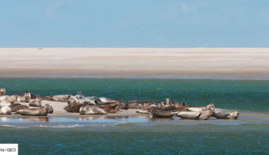 20 plages secrètes en Europe où fuir les foules cet été