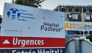 Nice. Des cas de chikungunya identifiés dans les Alpes-Maritimes