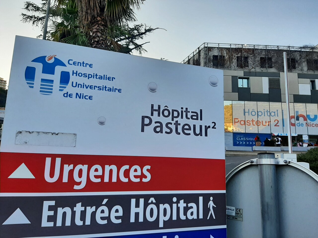 Nice. Des cas de chikungunya identifiés dans les Alpes-Maritimes