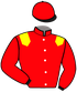 casaque_INVICTUS MADIBA