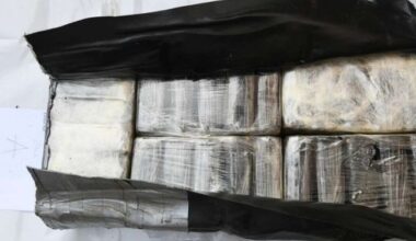 435 kilos de cocaïne retrouvés dans une cave, plusieurs suspects interpellés