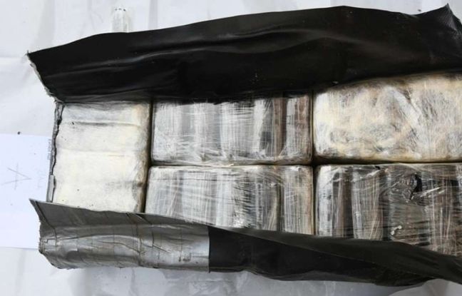 435 kilos de cocaïne retrouvés dans une cave, plusieurs suspects interpellés