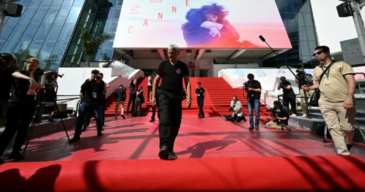 La démocratie américaine et Gaza: le chaos du monde s'invite au Festival de Cannes : Actualités