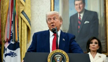 Pour Trump, des "juges gauchistes" sapent son offensive douanière : Actualités