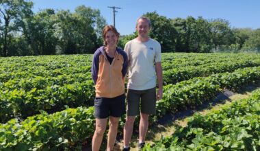 ces agriculteurs de Loire-Atlantique ont trouvé une solution