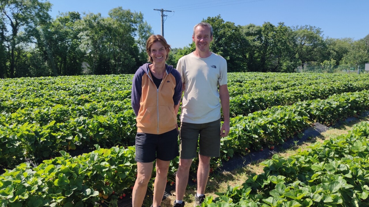 ces agriculteurs de Loire-Atlantique ont trouvé une solution