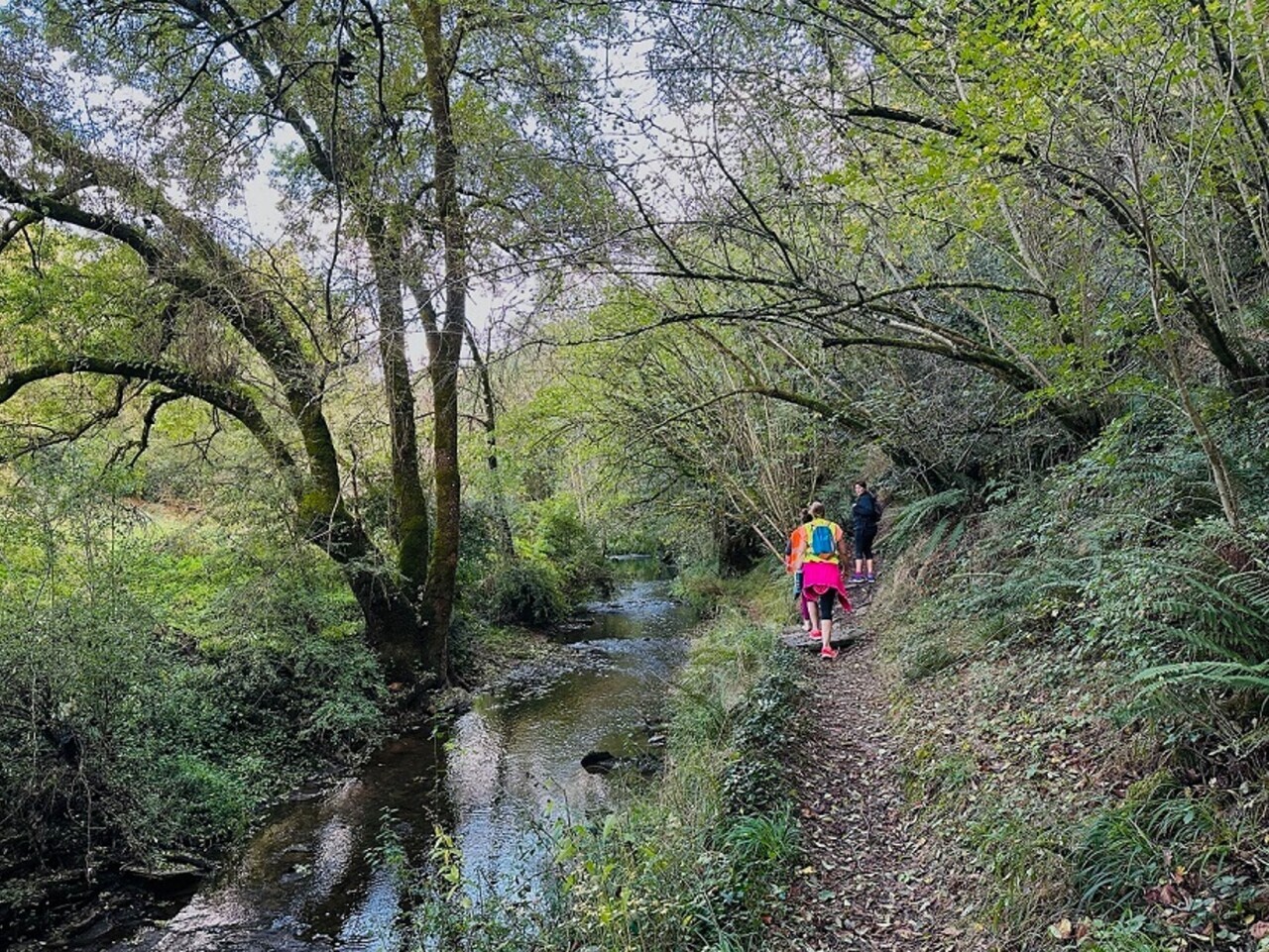 Ils s'inquiètent du sort de deux chemins de randonnée près de Nantes : "C'est incompréhensible"