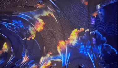 Vivaldi en sons et lumières dans un spectacle immersif